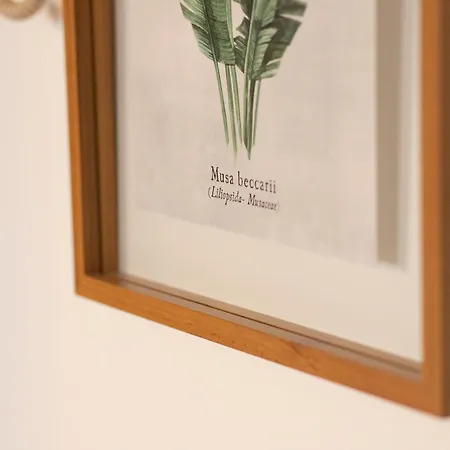 Melix - Elegant - 2-3 Couchages Daire