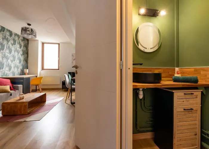 Apartment Melix - Elegant - 2-3 Couchages Lourdes