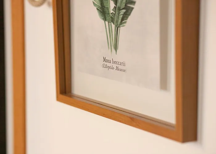 Melix - Elegant - 2-3 Couchages Lägenhet