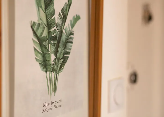 Melix - Elegant - 2-3 Couchages Lägenhet